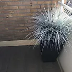 Appartement Brandenburger Str. 11